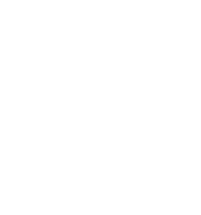 Práxis